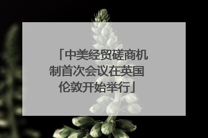 中美经贸磋商机制首次会议在英国伦敦开始举行