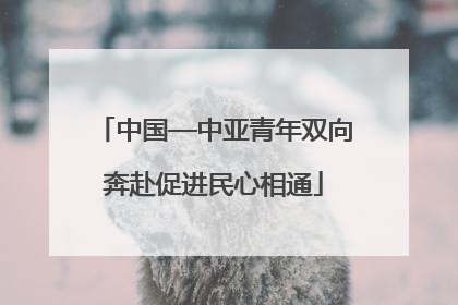 中国—中亚青年双向奔赴促进民心相通