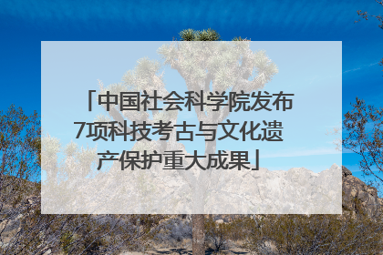 中国社会科学院发布7项科技考古与文化遗产保护重大成果