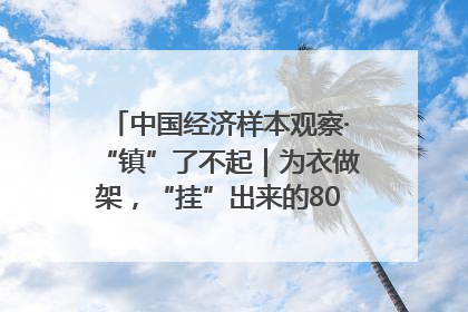 中国经济样本观察·“镇”了不起｜为衣做架，“挂”出来的80亿元“衣架产业”