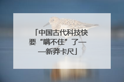 中国古代科技快要“瞒不住”了——新莽卡尺