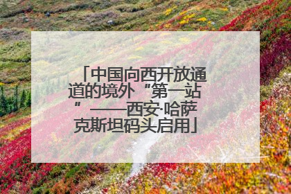 中国向西开放通道的境外“第一站”——西安·哈萨克斯坦码头启用