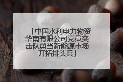 中国水利电力物资华南有限公司党员突击队勇当新能源市场开拓排头兵