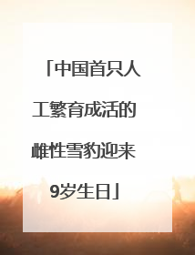 中国首只人工繁育成活的雌性雪豹迎来9岁生日