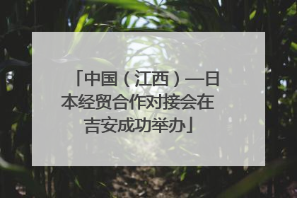 中国（江西）—日本经贸合作对接会在吉安成功举办