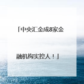 中央汇金成8家金融机构实控人！