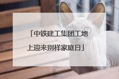 中铁建工集团工地上迎来别样家庭日