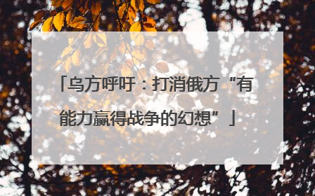 乌方呼吁：打消俄方“有能力赢得战争的幻想”