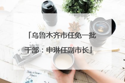 乌鲁木齐市任免一批干部：申琳任副市长