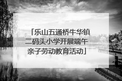 乐山五通桥牛华镇二码头小学开展端午亲子劳动教育活动