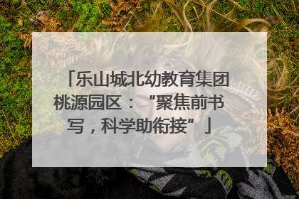 乐山城北幼教育集团桃源园区：“聚焦前书写，科学助衔接”