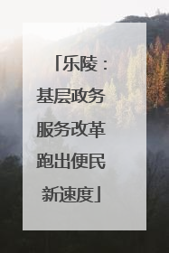 乐陵：基层政务服务改革跑出便民新速度