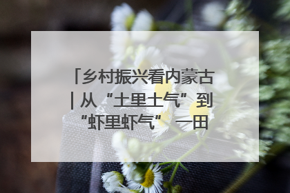 乡村振兴看内蒙古｜从“土里土气”到“虾里虾气” 一田双收模式火出圈