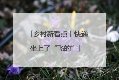 乡村新看点丨快递坐上了“飞的”