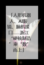 人形机器人、AI眼镜、脑机接口……浙江“硬核制造”乘“数”而上