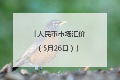 人民币市场汇价（5月26日）