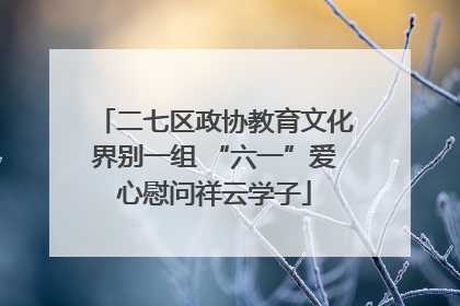 二七区政协教育文化界别一组 “六一”爱心慰问祥云学子