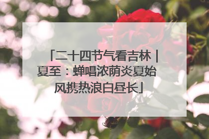 二十四节气看吉林｜夏至：蝉唱浓荫炎夏始 风携热浪白昼长