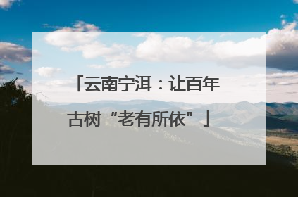 云南宁洱：让百年古树“老有所依”