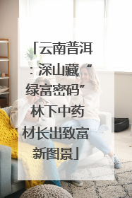云南普洱：深山藏“绿富密码” 林下中药材长出致富新图景