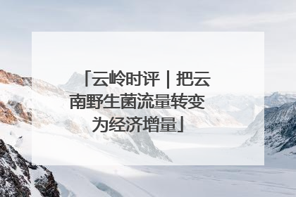 云岭时评｜把云南野生菌流量转变为经济增量