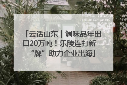 云话山东｜调味品年出口20万吨！乐陵连打新“牌”助力企业出海