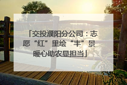 交投濮阳分公司：志愿“红”里绘“丰”景 暖心助农显担当