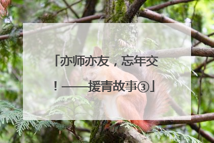 亦师亦友，忘年交！——援青故事③