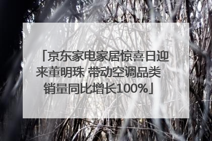 京东家电家居惊喜日迎来董明珠 带动空调品类销量同比增长100%