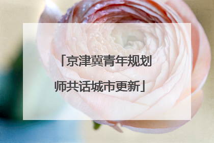 京津冀青年规划师共话城市更新