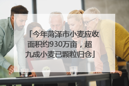 今年菏泽市小麦应收面积约930万亩，超九成小麦已颗粒归仓