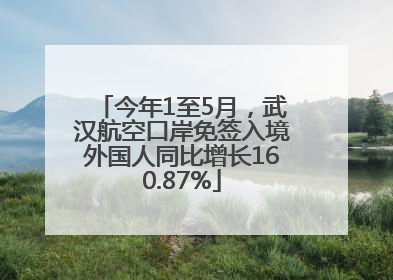今年1至5月，武汉航空口岸免签入境外国人同比增长160.87%