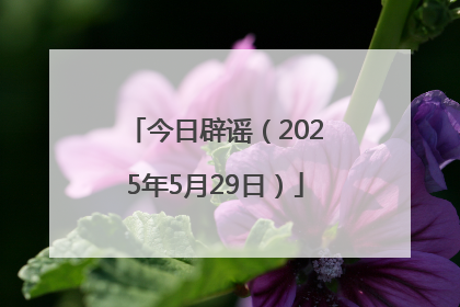 今日辟谣（2025年5月29日）