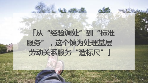 从“经验调处”到“标准服务”，这个镇为处理基层劳动关系服务“造标尺”