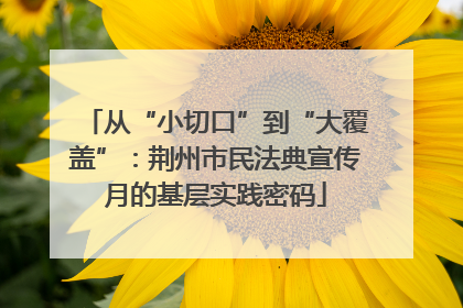 从“小切口”到“大覆盖”：荆州市民法典宣传月的基层实践密码