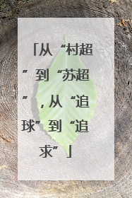 从“村超”到“苏超”，从“追球”到“追求”