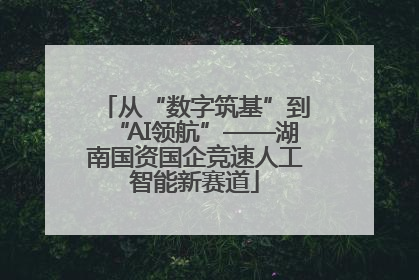 从“数字筑基”到“AI领航”——湖南国资国企竞速人工智能新赛道