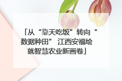 从“靠天吃饭”转向“数据种田” 江西安福绘就智慧农业新画卷