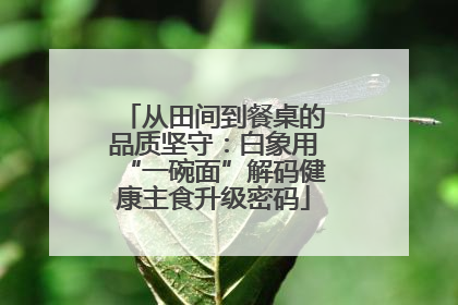 从田间到餐桌的品质坚守：白象用“一碗面”解码健康主食升级密码