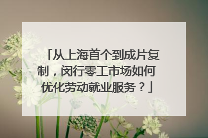 从上海首个到成片复制，闵行零工市场如何优化劳动就业服务？