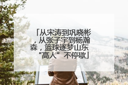 从宋涛到巩晓彬，从张子宇到杨瀚森，篮球逐梦山东“高人”不停歇