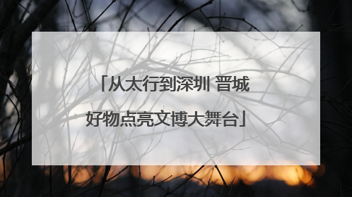 从太行到深圳 晋城好物点亮文博大舞台