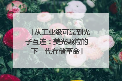 从工业级可靠到光子互连：美光颗粒的下一代存储革命