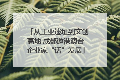 从工业遗址到文创高地 成都邀港澳台企业家“话”发展