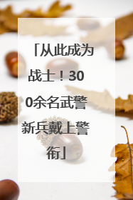 从此成为战士！300余名武警新兵戴上警衔