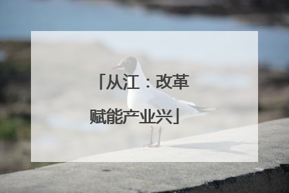 从江：改革赋能产业兴