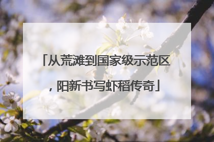 从荒滩到国家级示范区，阳新书写虾稻传奇