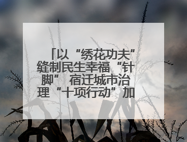 以“绣花功夫”缝制民生幸福“针脚” 宿迁城市治理“十项行动”加速落地