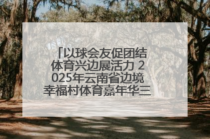 以球会友促团结 体育兴边展活力 2025年云南省边境幸福村体育嘉年华三人篮球赛圆满收官