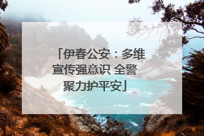 伊春公安：多维宣传强意识 全警聚力护平安